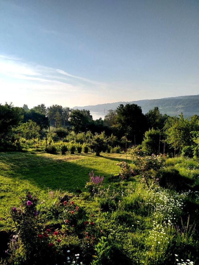 Seenah - Ihre Wohnung Am Bodensee / Untersee Гайнхофен Экстерьер фото